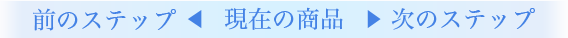 前のステップ ＜ 現在の商品 ＞ 次のステップ