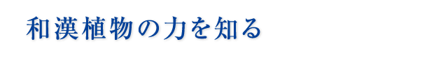 和漢植物の力を知る